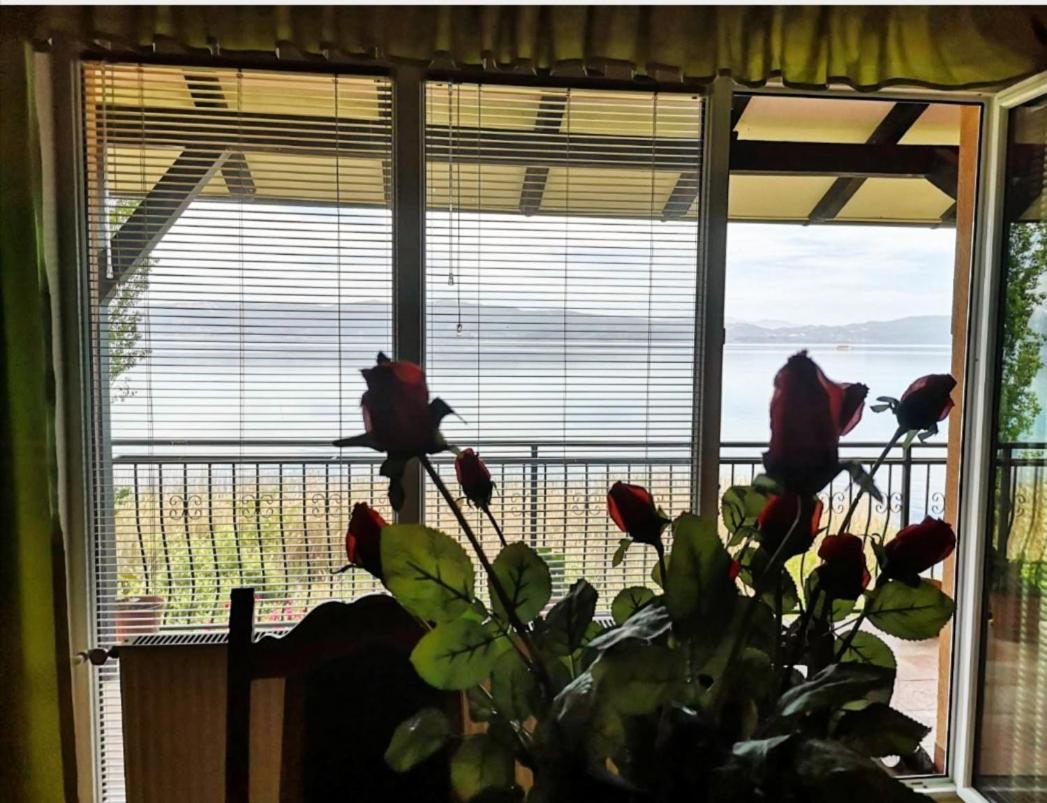Villa Stefan Ohrid Esterno foto